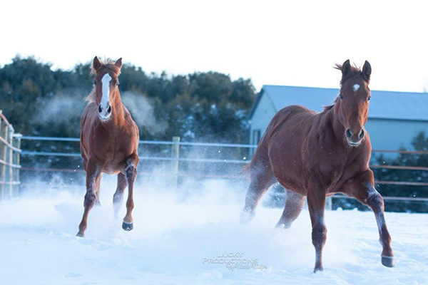 EC Photo of the Day- Snow Play!