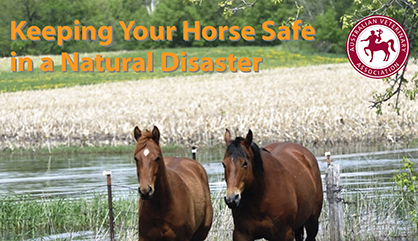 Keeping Your Horses Safe in a Natural Disaster