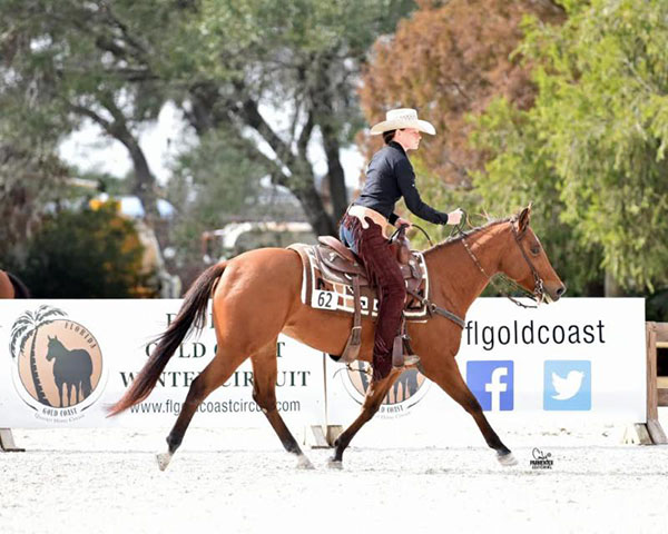 Florida Gold Coast QH Circuit Earns 6th Spot on AQHA’s 2017 Show Ranking With 3,600+ Entry Increase
