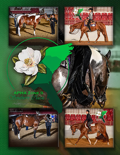 2018 APHA Zone 9 Southern Classic Recap