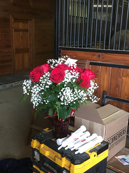 EC Photo of the Day: Roses and Bute… the Way to a Horsewoman’s Heart