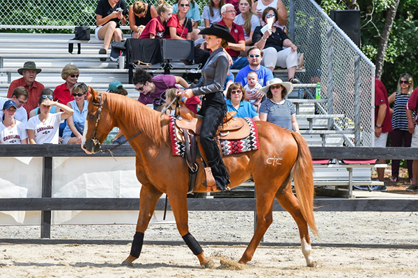 Gamecock Equestrian, Auburn, Texas A&M, and Bulldogs Score Wins Over the Weekend