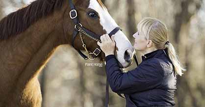 New APHA Committee Launched- “Equine Experiences”