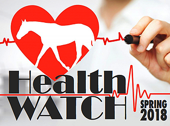 Health Watch: Spring 2018