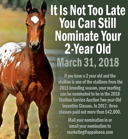 Nominate Your Appaloosa For 2018 2-Year-Old Incentive Classes by March 31st, Classes Paid $42,000+ in 2017!
