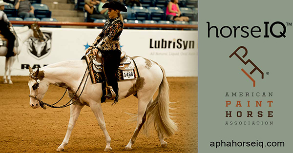 Western Pleasure Added to APHA’s Horse IQ Program