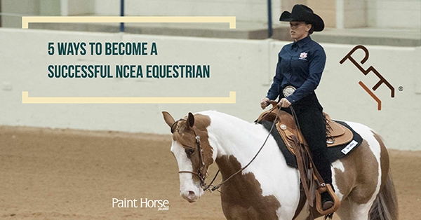 5 Ways to Become a Successful NCEA Equestrian