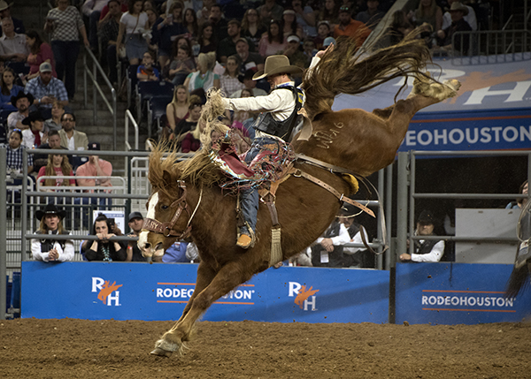 Weekend Competition at Rodeo Houston Sees Riders Like Trevor Brazile, Stockton Graves, and Carley Richardson Advance to Semifinals