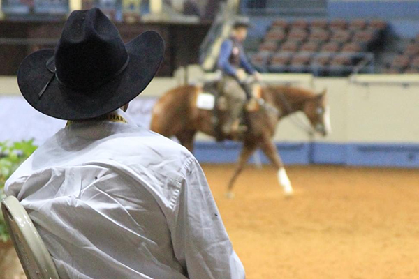 10 Reasons to be Involved in Your AQHA Affiliate