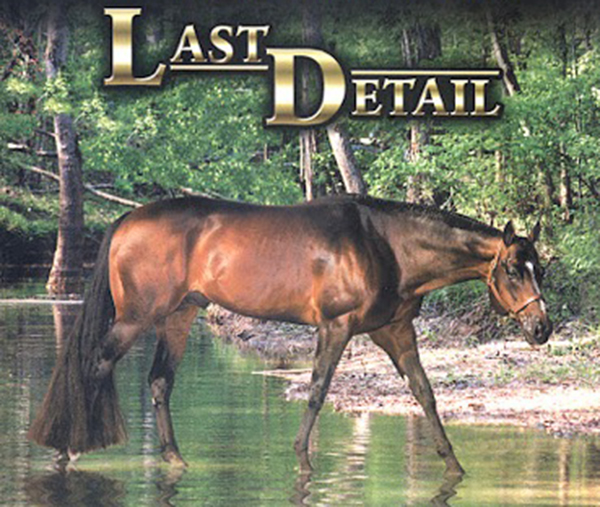 Condolences Following Passing of Last Detail (1991-2018)