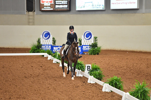 Georgia and Auburn Advance to NCEA Team Championship Round