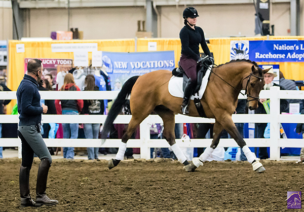 The 2018 Equine Affaire: 25 Years in the Making