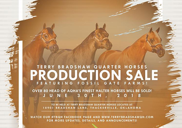 Sale List Now Available For Terry Bradshaw QH Production Sale