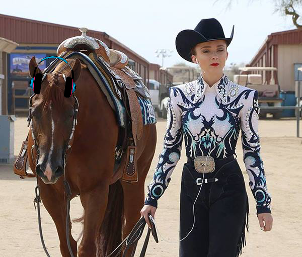 What’s Your Horse Show Jam?