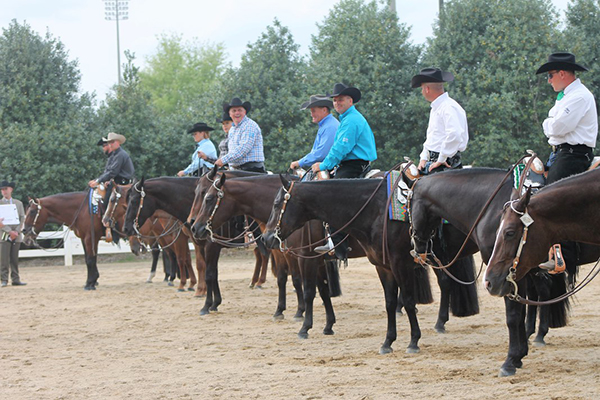 2018 AQHA Standing Committee Reports Now Online