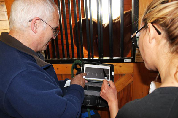 Study Focuses on Whether Horses Benefit or are Stressed by Experiences With Veterans