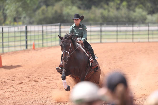 NCEA Announces 2017-2018 All-Academic Teams