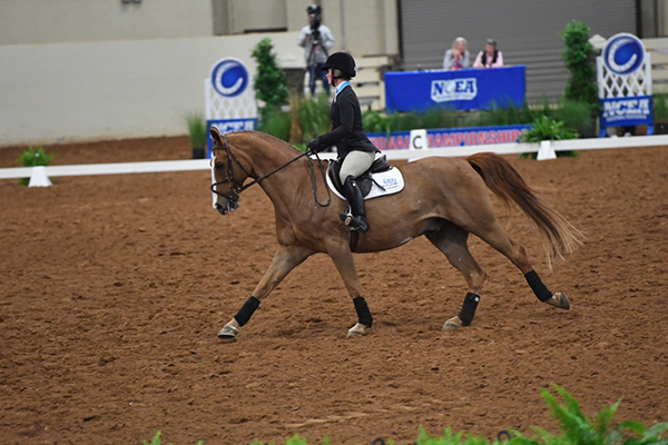 8 Teams Move on to Quarterfinals of NCEA Event Championship