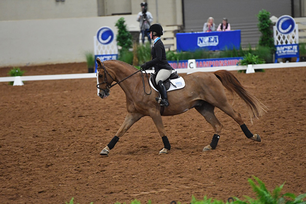 NCEA Announces First Set of Event Rankings For 2018-2019 Season