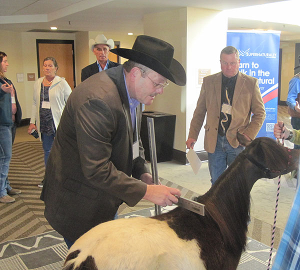 Horses in the Hotel: 2018 IBHA Convention Was Somewhat “Unconventional”