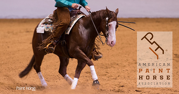 5 Events Earmarked for 2018 APHA Reining Buckle Incentive Program