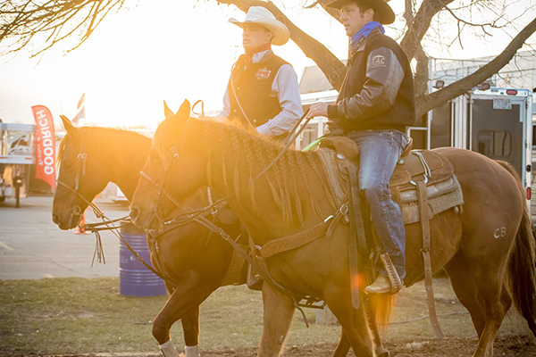 Around the Rings 2018 Midwest Horse Fair