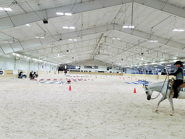 Starting at 51… A Photo Essay From a AQHA L1 Championship First-Timer