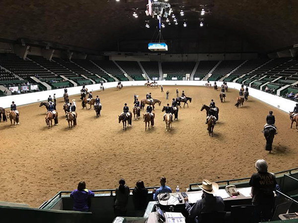 9 $500 NSBA Futurity Classes On Tap For Corporate Challenge