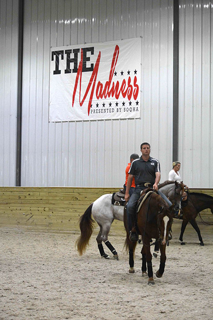 Entries Announced For SOQHA Madness The Equine Chronicle 3 and Over Novice Horse Western Pleasure