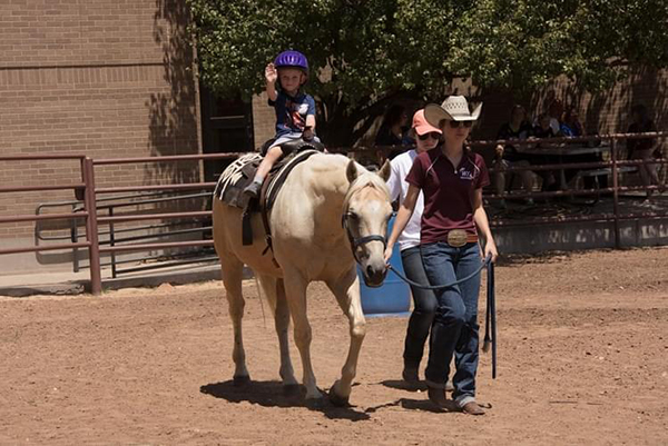 AQHA Summer Checklist