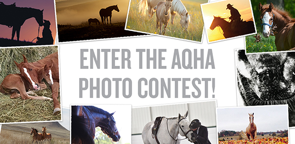 Enter AQHA Photo Contest by May 31st