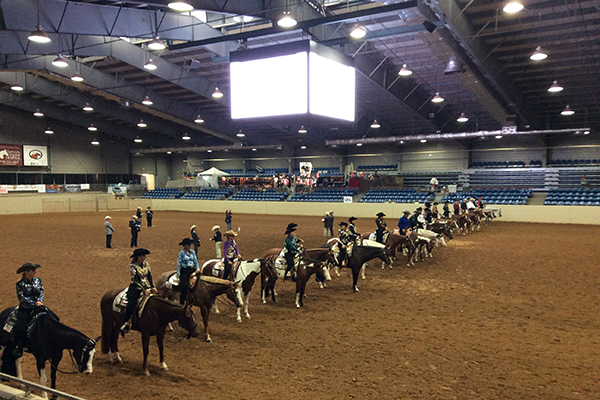 Paint Horse Congress Judges For 2018