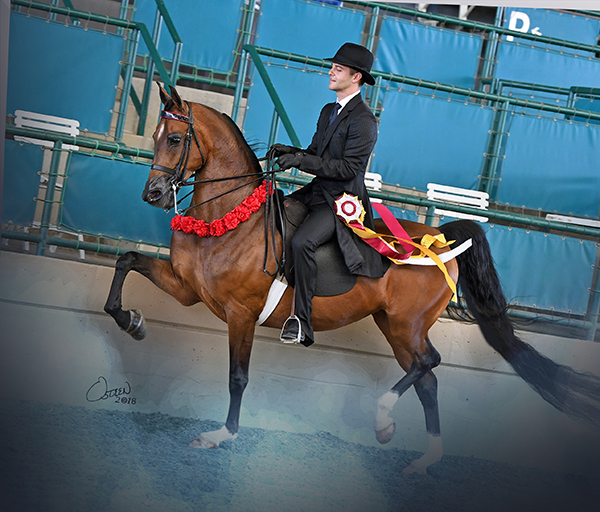 Best of Both Worlds- Eric Mendrysa- From Horsemanship to Saddleseat