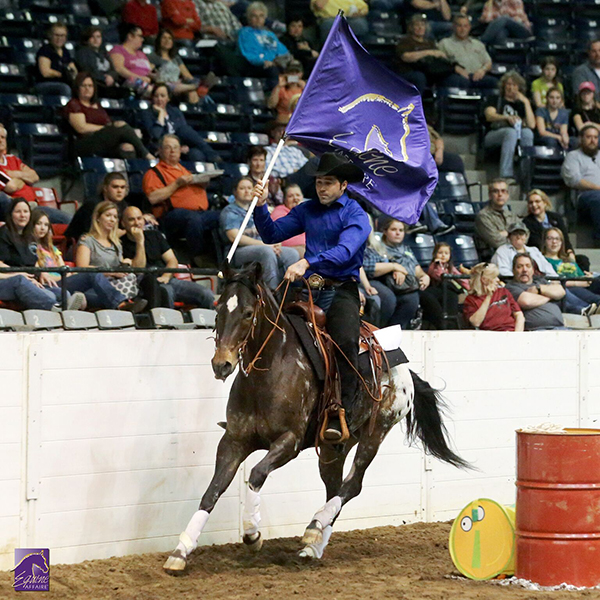 Experience the “Affaire” of a Lifetime:  Fall in Love with Horses at Equine Affaire