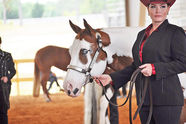 Around the Rings- 2018 Southeast Paint Horse Championship