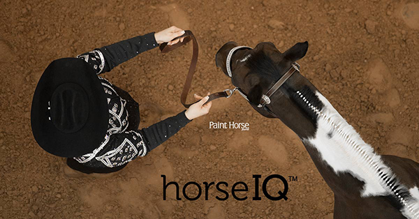 New Showmanship Videos on APHA’s HorseIQ