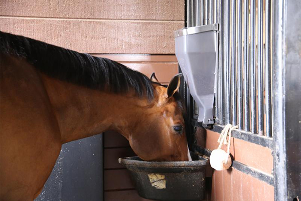 An Automatic Feeder… For a Horse?