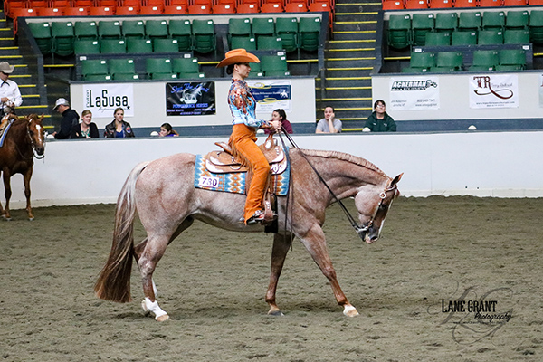 Around the Rings MassQHA Spring Show