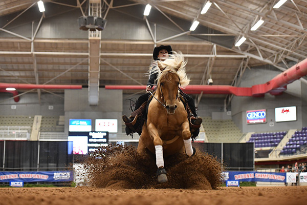 NCEA Announces Riders For 2018 NRHA Collegiate Reining Championship