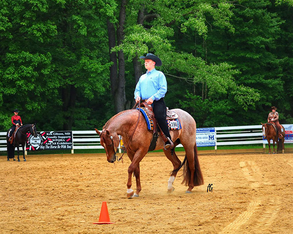 Around the Rings- WPQHA Memorial Show