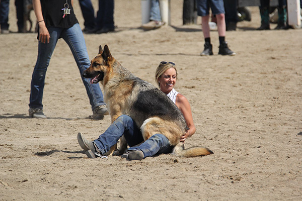 IQHYA Dog Race at Indy Circuit/IQHA State Show