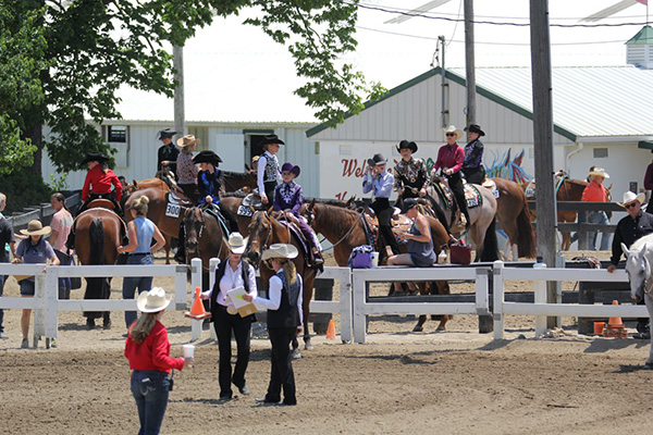 Need a Hotel and Rental Car For Summer Horse Shows? APHA Members Can Save Big Bucks