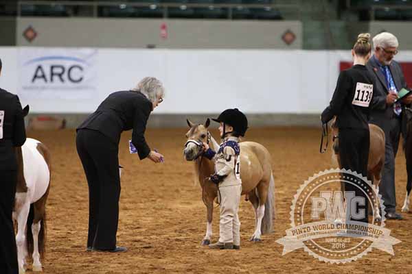 6/21 Results From 2018 Pinto World Show