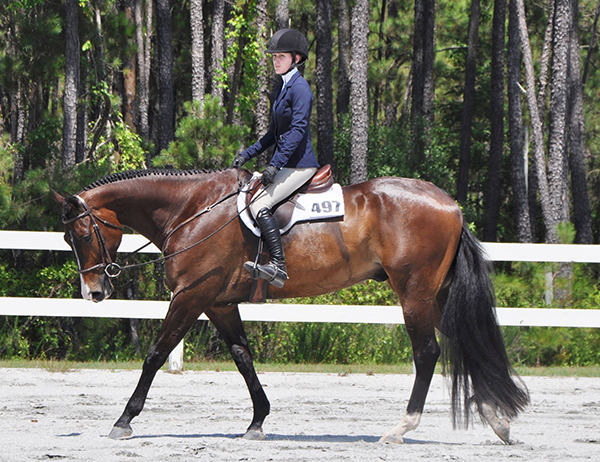 Around the Rings- SCQHYA and Ken Smith Maxi Circuit