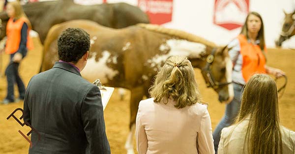 APHA World, AQHA World, and QH Congress Debut “Triple Crown” of Collegiate Horse Judging