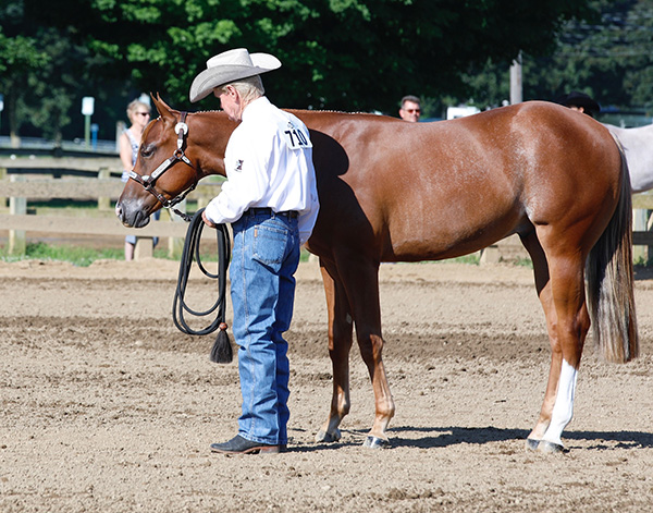 WPSS Non Pro Yearling Longe Line DOUBLES in Size From Last Year- $5,000 Champion is Stanley Scott/Come N At Ya Blue