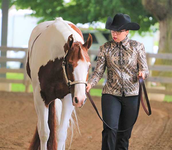 Around the Ring Photos and Results From Ohio/Michigan Paint Horse Show
