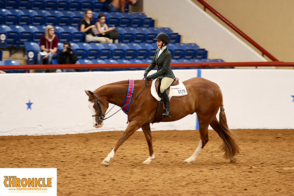 Mortman, Nielson, Goffard, and Hall Take Home APHA Youth World HUS Titles