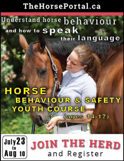 Online Horse Behavior and Safety Course- July 23rd-Aug. 10th