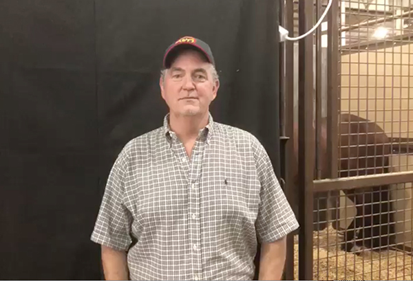 EC Video- Show Sharing Tip #8- Pattern Prep at the Horse Show
